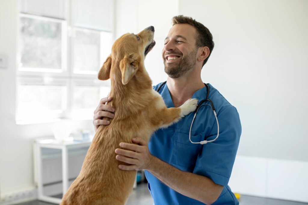 HomeOld – Education Vet